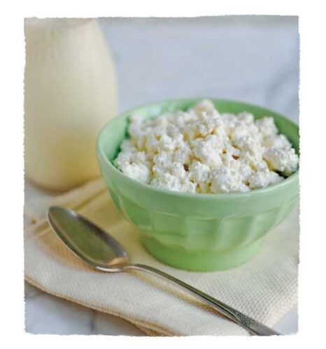 Classic Cottage Cheese Recipe